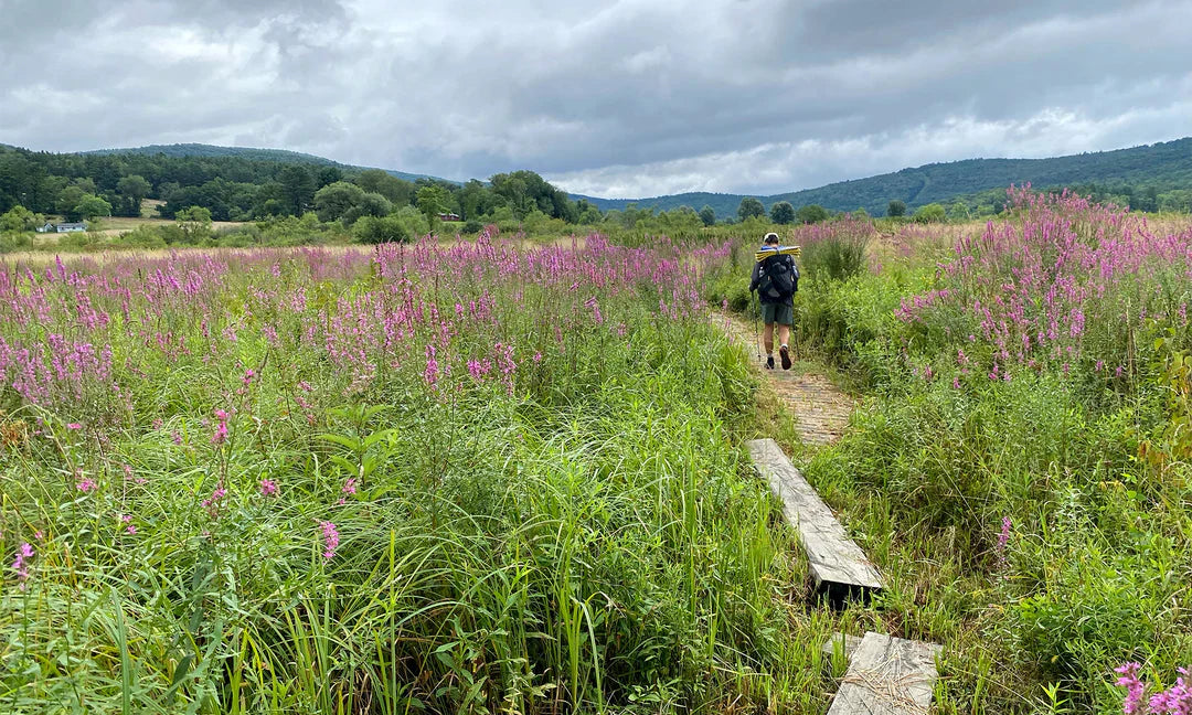 3,540km를 걸으며 깨달은 것들: 애팔래치아 트레일 완주기와 장비 후기